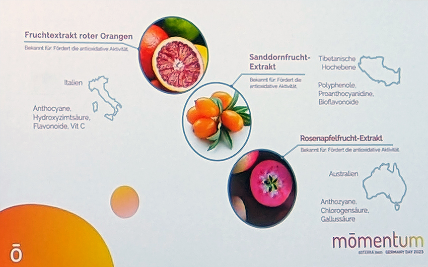 doTERRA MetaPWR Advantage Antioxidantien Blog Geschenke made for Mama