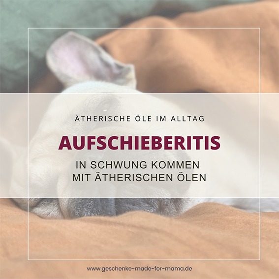 Aufschieberitis-In-Schwung-kommen-mit-aetherischen-Oelen