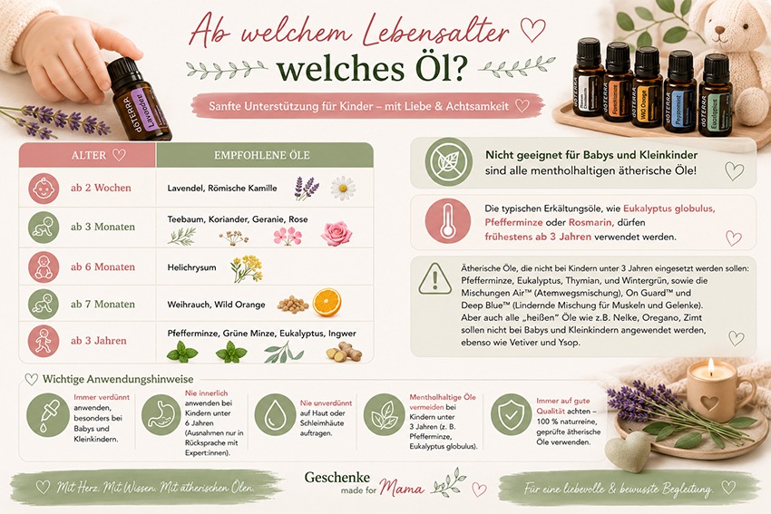 Infografik mit dem Titel'Ab welchem Lebensalter … welches Öl?'— altersbasierte Empfehlungen von ätherischen Ölen (Lavendel, Römische Kamille, Teebaum, Koriander, Geranie, Rose, Heiligkrysm, Weihrauch, Wild Orange, Pfefferminze, Grüne Minze, Eukalyptus, Ingwer) plus Warnhinweise und Anwendungstipps; rechts Symboltext und dekorative Lavendelzweige.