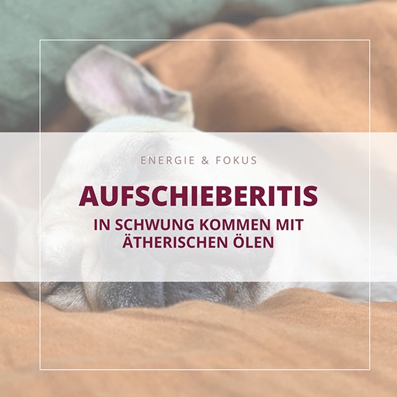 Aufschieberitis überwinden – mit ätherischen Ölen zu mehr Fokus und Motivation Aufschieberitis überwinden mit ätherischen Ölen – mehr Motivation, Fokus und Energie im Alltag