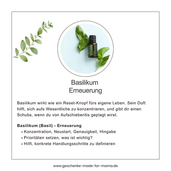 Doterra Basilikum ätherisches Öl emotionale Wirkung Erneuerung