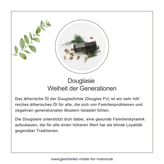 Douglasie ätherisches Öl – doTERRA Öl der Weisheit der Generationen Fläschchen Douglasie ätherisches Öl von doTERRA auf frischen Tannenzweigen – unterstützt Familienharmonie, Herkunft und innere Balance