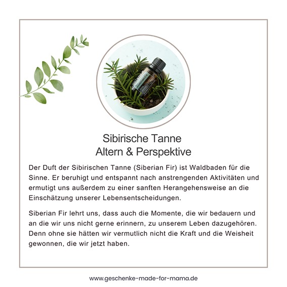 Siberian Fir ätherisches Öl – doTERRA Öl des Alterns und der Perspektive Fläschchen Siberian Fir ätherisches Öl von doTERRA auf Tannennadeln – unterstützt Perspektivwechsel, innere Ruhe und Weisheit im Alter