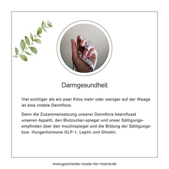 Abnehmen und Darmgesundheit
