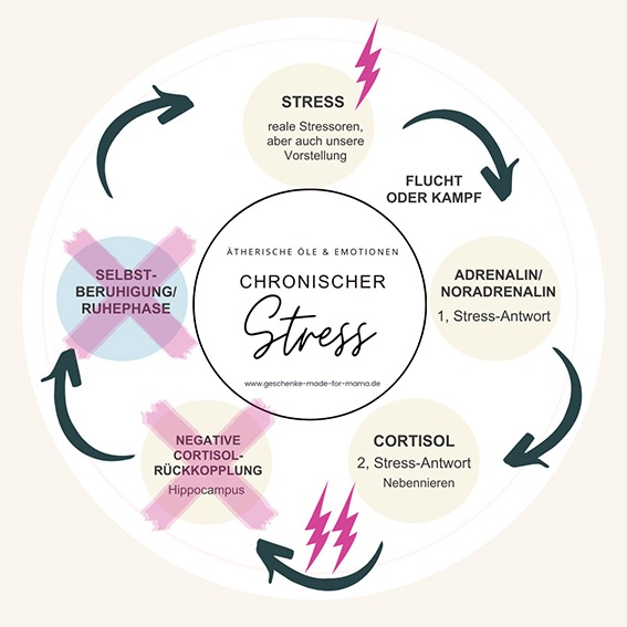 Wie wir Stress lernen – und wieder verlernen können | Blog Geschenke made for Mama Wie aus Stress chronischer Stress wird: Das Nervensystem gewöhnt sich an den Alarmzustand und verliert die Fähigkeit, nach Belastungen zur Ruhe zurückzufinden.