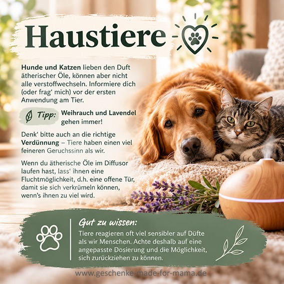 Hund und Katze neben einem Diffuser – Hinweise zum sicheren Umgang mit ätherischen Ölen bei Haustieren