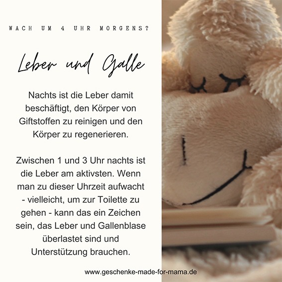 Nächtliches Aufwachen zwischen 1 und 3 Uhr – Überlastung von Leber und Galle kann die Schlafqualität stören