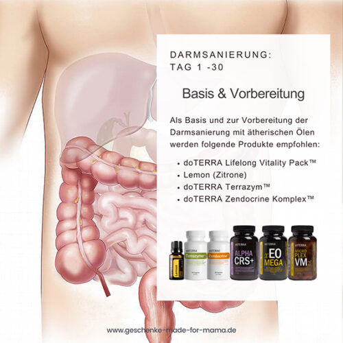 Natuerliche-Darmsanierung-und-Detox-mit-aetherischen-Oelen Blog Geschenke made for Mama