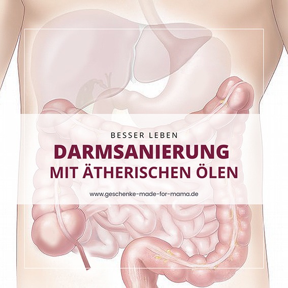 Gesunde Darmflora Mikrobiom Darmreinigung mit ätherischen Ölen