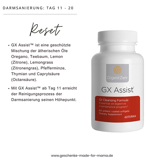 Darmsanierung mit ätherischen Ölen doTERRA GX Assist zur Darmreinigung Blog Geschenke made for Mama