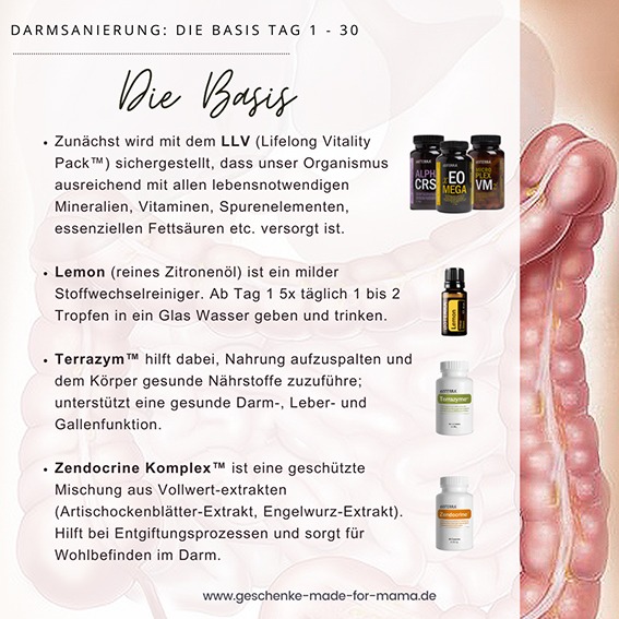 Darmsanierung mit ätherischen Ölen 30 Tage Programm Basis und Vorbereitung Blog Geschenke made for Mama