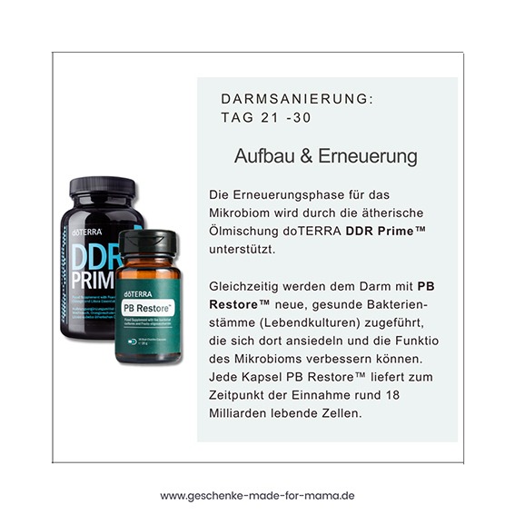 Darmsanierung mit ätherischen Ölen Mikrobiom Aufbau und Erneuerung