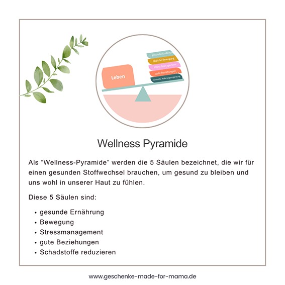 Wellness Pyramide % Säulen für einen gesunden Lebensstil