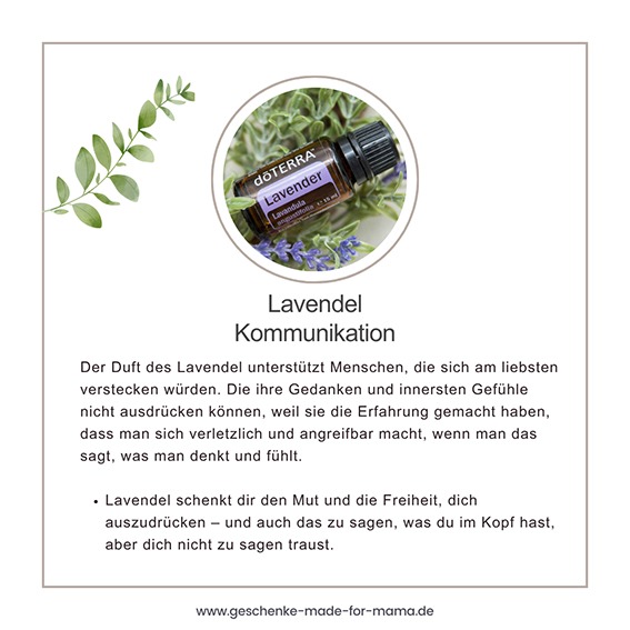 Lavendel ätherisches Öl Beruhigung und Kommunikation Familientreffen ohne Stress
