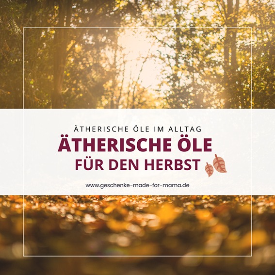 Ätherische Öle für den Herbst Sonnendurchfluteter Herbstwald mit goldenem Laub – Symbol für Ätherische Öle im Herbst zur Stärkung von Gesundheit, Wohlbefinden und Wohnatmosphäre