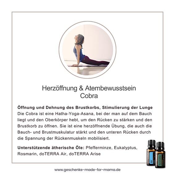 Cobra Bhujangasana – Herzöffnung und Atemwege aktivieren mit ätherischen Ölen Frau in der Yoga-Haltung Cobra (Bhujangasana) mit dem Text „Öffnung und Dehnung des Brustkorbs, Stimulierung der Lunge“. Unterstützende ätherische Öle: Pfefferminze, Eukalyptus, Rosmarin, doTERRA Air und Arise.