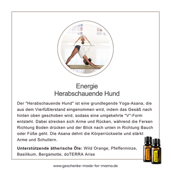 Tor-Haltung Parighasana – Ausrichtung und Weite mit ätherischen Ölen Frau in der Yoga-Pose Herabschauender Hund (Adho Mukha Svanasana), Arme und Rücken gestreckt, Fersen Richtung Boden. Aktivierende Haltung mit ätherischen Ölen für Energie.
