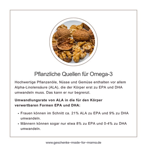 Walnüsse und andere pflanzliche Omega-3-Quelle: reich an Alpha-Linolensäure (ALA), die der Körper nur begrenzt in EPA und DHA umwandeln kann.